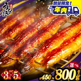 【ふるさと納税】【年内発送】【数量・期間限定 特別規格】≪内容量・発送時期が選べる≫ うなぎ 蒲焼 3尾 or 5尾 定期便 丑の日 国産 宮崎 うな重 うなぎ長焼 ひつまぶし 冬うなぎ 小分け 個包装 真空パック 人気 鰻楽 ギフト 贈り物 お歳暮 リピーター続出 都農町 送料無料