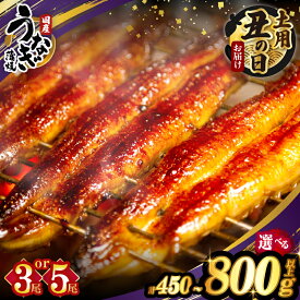 【ふるさと納税】≪内容量・発送時期・定期便2種類が選べる≫ うなぎ 蒲焼 3尾 450g or 5尾 800g 丑の日 定期便 国産 宮崎 鰻 ウナギ うな重 うなぎ長焼 ひつまぶし 冬うなぎ 小分け 真空パック 鰻楽 簡単調理 人気 おすすめ ギフト 贈り物 リピーター続出 都農町 送料無料