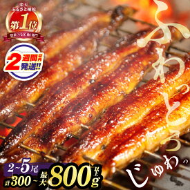 【ふるさと納税】総合1位獲得！「2週間以内発送」【楽天限定】≪お中元のし対応≫≪選べる！！内容量・発送時期・定期便≫ うなぎ 蒲焼 2尾 300g 380g or3尾 600g or 5尾 800g 定期便 国産 宮崎 鰻 うな重 うなぎ長焼 ひつまぶし 蒲焼き 小分け 鰻楽 ギフト 贈り物 都農町