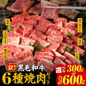 【ふるさと納税】【訳あり】【内容量・発送月が選べる】生産者応援！ 黒毛和牛 6種 サーロイン 肩ロース リブロース モモ ウデ バラ 焼肉 300g 600g 数量限定 国産 経産牛 牛肉 赤身 部位 食べ比べ お試しセット 簡単 おすすめ ギフト 冷凍 ミヤチク 宮崎県 都農町 送料無料
