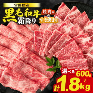 yӂ邳Ɣ[Łz101`񕍊z yĂorēzIׂ锭Eeʁ ʌ Y҉ {茧Y јa ~ [X XCX ē 600g 1.2kg 1.8kg   a ؂ 