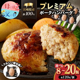 【ふるさと納税】個数が選べる！！ お家で本格ハンバーグ 宮崎県産 豚肉 プレミアム ハンバーグ 8個 10個 15個 20個 肉 加工品 惣菜 国産 食品 簡単調理 真空パック 個包装 小分け おかず お弁当 おすすめ ギフト 贈り物 お祝い 記念日 宮崎県 都農町 送料無料 父の日