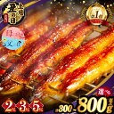 総合1位獲得！2週間以内発送！ 【楽天限定】 ≪選べる！！...