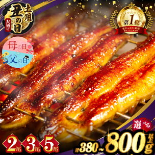 ≪選べる！！内容量・発送時期・定期便≫ うなぎ 蒲焼 2尾...