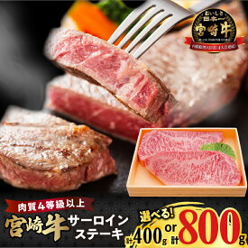 【ふるさと納税】【内容量が選べる】宮崎牛 サーロインステーキ 400g 800g 肉 牛肉 ステーキ 国産 牛 食品 ディナー キャンプ 焼肉 焼き肉 BBQ バーベキュー 鉄板焼き パーティー お祝い 贈り物 ギフト 贈答 ご褒美 贅沢 お取り寄せ 人気 おすすめ 宮崎県 都農町 送料無料
