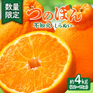 yӂ邳Ɣ[Łzs\ ᐔʌ sm (̂ۂ) 4kg t[c ʕ  ݂ ʂ k 2026 Y Ԍ  { Yn t[cTh t[cW[X 