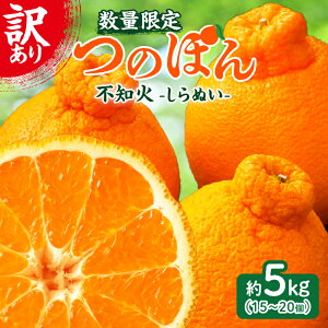 yӂ邳Ɣ[Łzs\  ʌ  󂠂 sm (̂ۂ) 5kg t[c ʕ  ݂ ʂ k 2026 Y Ԍ  { Yn t[cTh t[c