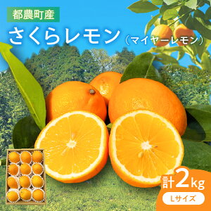 yӂ邳Ɣ[Łzs\ Ԍ s_Y   (}C[) v2kg kn Y O Hi ʏ` ʕ   fU[g ݂͂Ђ W }[}[h ^