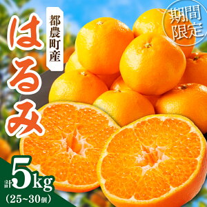 yӂ邳Ɣ[Łzs\ ʌ 󏭂 k ͂ 5kg t[c ʕ  ݂ |J IW ʎ  Â ʓ Hi O fU[g lC   yY 