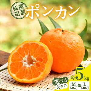 【ふるさと納税】【選べる内容量】 先行予約 ≪期間限定≫ 都農町産 ポンカン 約 5kg (MサイズorLサイズ) フルーツ 果物 くだもの 柑橘 国産 食品 みかん 蜜柑 みかんジュース おやつ ご褒美