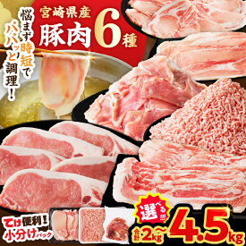 【ふるさと納税】【内容量・2週間以内・発送月が選べる】宮崎県産 豚肉 6種 ＼てげスゲーセット／ 2kg 3kg 4.5kg セット 肉 豚バラ 豚バラ肉 モモ ロース ミンチ スライス 切り落とし しゃぶしゃぶ ハンバーグ 国産 おすすめ 人気 小分け 真空パック ギフト 都農町 送料無料
