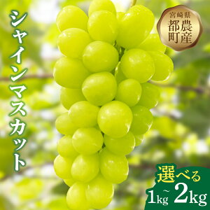 yӂ邳Ɣ[ŁzyeʂIׂzs\ Ԍ s_Y VC}XJbg v1kg v2kg Y ʕ  t[c  Ԃǂ 햳 嗱 fU[g  x J 