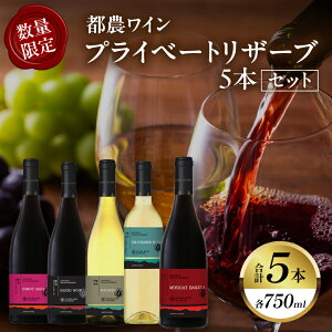 yӂ邳Ɣ[ŁzyԁEʌzvCx[gU[u 5{ Zbg   AR[ Y ݔ ԃC C WINE Ԃǂ J j LO ӎ  lC  B