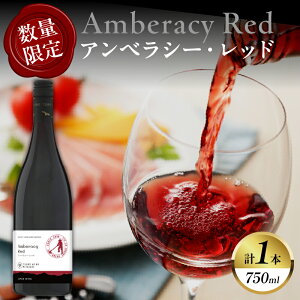 【ふるさと納税】【数量限定】アンベラシー レッド 計1本 国産 酒 アルコール 飲料 都農ワイン 赤ワイン 辛口 果実酒 ぶどう 家飲み 肉料理 中華 おつまみ パーティー お祝 ご褒美 記念日 お