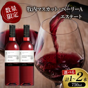 yӂ邳Ɣ[ŁzyIׂeʁz ʌ q}XJbgEx[[AGXe[g 1{ or 2{   AR[ Y Ԃǂ ԃC h WINE ʎ J p[eB[ j ґ LO