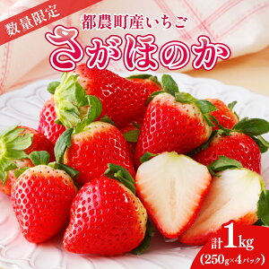 yӂ邳Ɣ[Łzs\ ʌ s_Y  ق̂ v1kg Ԍ  C`S itigo t[c ʕ  fU[g  2026N 啟 t[cTh t[cW[X 