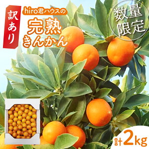 yӂ邳Ɣ[Łz s\ ʌ 󂠂 hiroNnEX n񂩂 v2kg Ԍ 񂩂  t[c ʕ k Hi َq fU[g  ƒp s Yn Y 