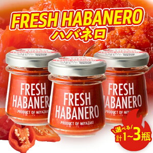 yӂ邳Ɣ[ŁzyeʂIׂzFRESH HABANERO nol Ђ hq XpCX h  Ɛ tbV h h |egT_ {l[[ `L\e[   