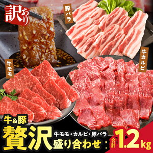 yӂ邳Ɣ[Łzy2TԈȓz󂠂  ґ򐷂荇킹  Jr ؃o v1.2kg  ؓ  oY Ԑg Ef  Y Hi ٓ ē Ă Ԃ 