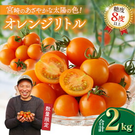 【ふるさと納税】数量限定 オレンジリトル 合計2kg ミニトマト 野菜 サラダ 国産 フルーツトマト 新鮮 お土産 期間限定 産地直送 果汁 ジューシー かわいい 高糖度 Bカロテン おやつ おすすめ リコピン お取り寄せ グルメ 宮崎県 都農町 送料無料