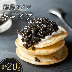 yӂ邳Ɣ[Łzy2TԈȓzs_C LrA v20g   Hi Y Y Hi EO咿     lC Mtg 蕨  v[g j LO p[