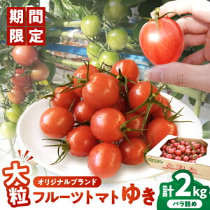 yӂ邳Ɣ[Łzs\ Ԍ IWi uh ut[cg}g䂫v v2kg ~jg}g t[cg}g  T_ Y tomato   g}gW[X 蕨 Mt