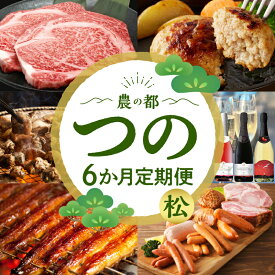 【ふるさと納税】都農町の特産品 詰め合わせ 定期便！ 6か月 お楽しみ 定期便 都農町 定期便(松) 6回 肉 牛肉 鶏肉 うなぎ蒲焼 鰻 ウナギ ハム ソーセージ ウインナー ハンバーグ ワイン 宮崎牛 黒毛和牛 ロース ステーキ 炭火焼 お酒 アルコール 国産 人気 宮崎県 送料無料