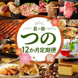 【ふるさと納税】都農町の特産品 詰め合わせ 定期便！ 12か月 お楽しみ 定期便 都農町 定期便(梅) 12回 肉 牛肉 豚肉 鶏肉 うなぎ蒲焼 鰻 ウナギ ハンバーグ 漬物 ハムカツ お菓子 焼肉 ピザ 炭火焼 しゃぶしゃぶ ワイン 黒毛和牛 お酒 国産 人気 おすすめ 宮崎県 送料無料