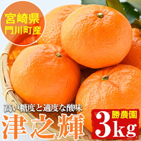 【ふるさと納税】＜先行予約受付中！2026年1月中旬～4月末の間に発送予定＞宮崎県門川町産津之輝(約3kg)みかん ミカン 蜜柑 柑橘 果物 くだもの フルーツ 冷蔵 宮崎県 門川町【AE-14】【勝農園】