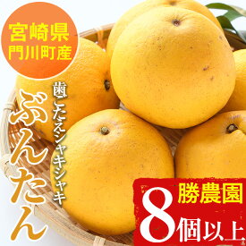 【ふるさと納税】＜先行予約受付中！2026年2～4月末の間に発送予定＞宮崎県門川町産文旦≪ぶんたん≫(8個以上)柑橘 果物 数量限定 期間限定 国産 フルーツ 常温 保存 遠見半島【AE-17】【勝農園】