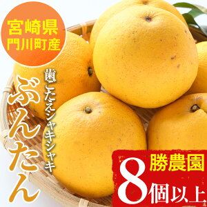 �y�ӂ邳�Ɣ[�Łz����s�\���t���I2026�N2�`4�����̊Ԃɔ����\�聄�{�茧��쒬�Y���U��Ԃ񂽂��(8�ȏ�)���k �ʕ� ���ʌ��� ���Ԍ��� ���Y �t���[�c �퉷 �ۑ� ���������yAE-17�z�y���_