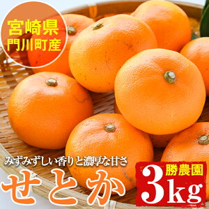 �y�ӂ邳�Ɣ[�Łz����s�\���t���I2026�N2�����{�`4�����̊Ԃɖ������\�聄�{�茧��쒬�Y���Ƃ�(��3kg)���k �ʕ� ���ʌ��� ���Ԍ��� ���Y �t���[�c �퉷�ۑ� �������� �{�茧 ��쒬�yAE-18