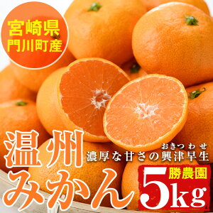 �y�ӂ邳�Ɣ[�Łz���B�݂��񋻒Ñ����Ⴈ���킹��(��5kg)�~�J�� ���� ���k �ʕ� ���ʌ��� ���Ԍ��� ���Y �t���[�c �퉷 �ۑ� �{�茧 ��쒬 ���������yAE-23�z�y���_���z