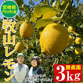 【ふるさと納税】国産 牧山レモン(約3kg) 宮崎県 門川町産 柑橘 期間限定 檸檬 レモンサワー 生搾り ノーワックス 【AE-25】【勝農園】