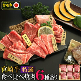 【ふるさと納税】宮崎牛！特選！食べ比べ焼肉6種盛り(合計600g)国産 宮崎県産 牛肉 お肉 ロース カルビ 赤身 特選赤身 霜降り 中落ちカルビ 冷凍【AP-14】【日向屋】