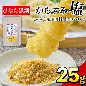 yӂ邳Ɣ[Łz炷݉(25g)pE_[ Y  퉷 ۑ   {  yB-10zySAETez
