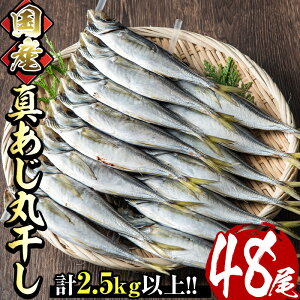yӂ邳Ɣ[ŁzY^ۊ(v48E16×3Fv2.5kgȏ)  Zbg   ȒP  ⓀyE-21zyiYz