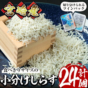 yӂ邳Ɣ[Łz炷cCpbN12Zbg(v600gE25g×2pbN×12)   VX ܂ JVE  g 炷 Ⓚ q CN Ђ CN {