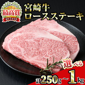 yӂ邳Ɣ[ŁzeʂIׂI{苍[XXe[L(v250g`1kg)  јa uha Ⓚ Y ē BBQyR-88ER-33ER-89zy~`Nz