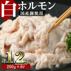 【ふるさと納税】白ホルモン(約計1.2kg・200g×6P)豚肉 もつ モツ 小分け 冷凍 国産 おかず おつまみ【J-5】【幸食品】