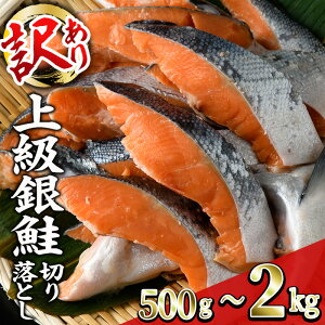 yӂ邳Ɣ[ŁzeʂIׂI󂠂聄 É ؂藎Ƃ (500g`2kg)  ؂g  CN    Ⴏ ؐg Jbg Ă ȒP tC  CN Ⓚ ٓ 
