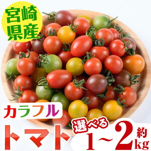 yӂ邳Ɣ[Łzs\tI2025N11{珇\聄eʂIׂIJtg}gHה׃Zbg(1`2kg)Y {茧Y Ƃ܂  T_ F IW ݂ǂ