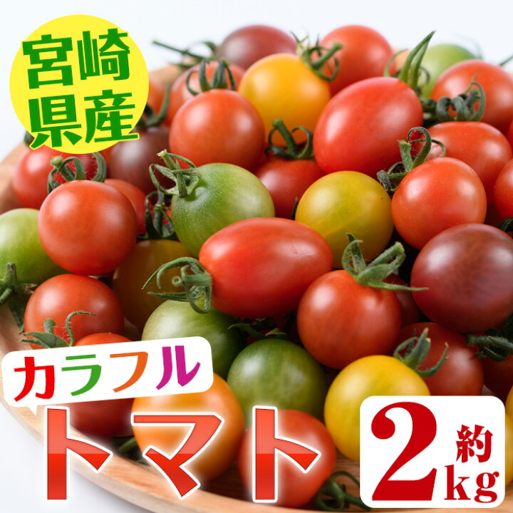 楽天市場 ふるさと納税 期間限定 金丸さん家のカラフルトマト 約2kg 黄色 オレンジ みどり 紫 アイコ 赤 セレブスイート等9品種の中から4品種以上が入った食べ比べセット Kt 2 K Tfarm 宮崎県門川町