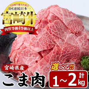 yӂ邳Ɣ[ŁzeʂIׂI{苍 ܓ(v1`2kg)  јa uha ܐ؂ Y ⓀyMF-8EMF-75zyGt@[z