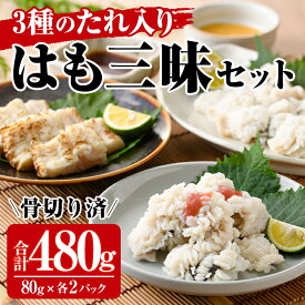 【ふるさと納税】鱧三昧セット(合計480g・3種×各2P)はも ハモ 湯引き タタキ たたき 骨切り 海鮮 おつまみ 梅肉 酢みそ 酢味噌 タレ たれ 国産 小分け 冷凍 魚介 食べ比べ 詰め合わせ 詰合せ 宮崎県産【MR-6】【マルユウ水産】