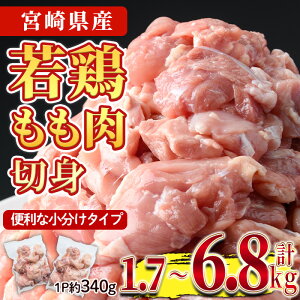 yӂ邳Ɣ[Łzs\tI2025N9ɔ\聄eʂIׂI{  (v1.7`6.8kg)  Ƃ Jbg Y {茧Y g g 炠 Ⓚ 