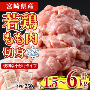 yӂ邳Ɣ[Łzs\tI2025N9ɔ\聄eʂIׂI{   ʓ(v1.5`6kg)  Ƃ ؐg Jbg IQFJbg Y {茧Y g 