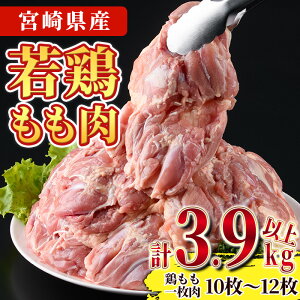 yӂ邳Ɣ[Łz{茧Y{(v3.9kgȏE{ꖇ250`350g×10`12)   Ƃ { {  Y {茧Y g g 炠 Ⓚ ֗ yNK-03zyt[