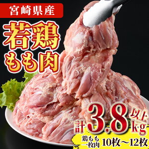 【ふるさと納税】宮崎県産若鶏もも肉(計3.8kg以上・鶏もも一枚肉250〜350g×10〜12枚) お肉 鳥肉 とり肉 鶏肉 若鶏 もも肉 国産 宮崎県産 唐揚げ から揚げ からあげ 冷凍 便利 【NK-03】【南九フー