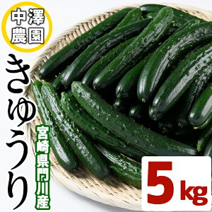 きゅうり 5kgの人気商品 通販 価格比較 価格 Com きゅうり 5kgの人気商品 通販 価格比較 価格 Com